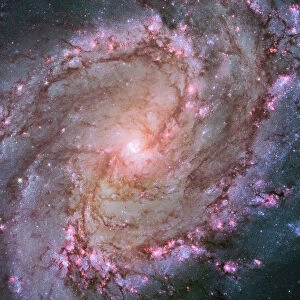 Barred spiral galaxy Messier 83