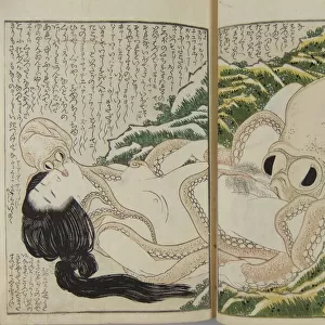 Mollusks Canvas Print Collection: Octopi