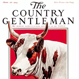 Design Pics Art Mouse Mat Collection: Country Gentleman Agricultural Magazine Covers (1831-1955)