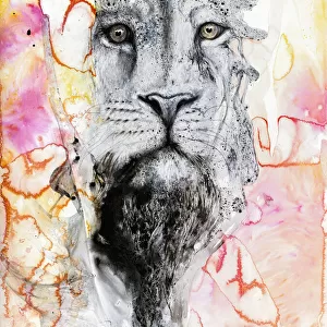 Illustration Of A Lions Face Surrounded By Colourful Abstract Patterns