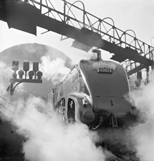 John Gay Photo Mug Collection: Kingfisher steam train, Flying Scotsman service a062841