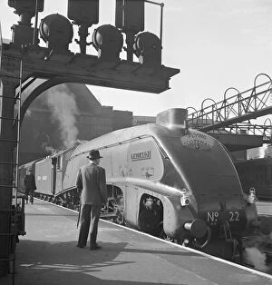 John Gay Photo Mug Collection: Mallard steam train, Flying Scotsman service a062835