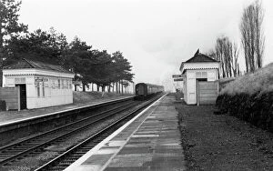 Horse Racing Collection: Cheltenham Racecourse Station, Gloucestershire, c. 1960