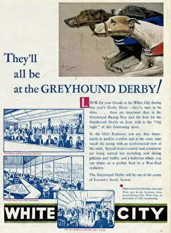 Dog Racing Cushion Collection: Advert for White City Greyhound Racing 1932