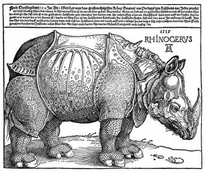 Famous Collection: Albrecht Durers Rhinoceros