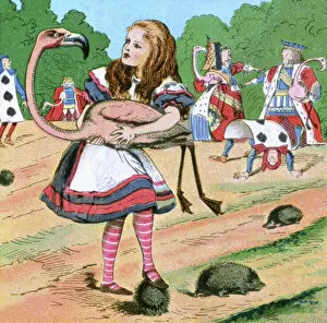 Books Fine Art Print Collection: Alice in Wonderland, Alice at the croquet game