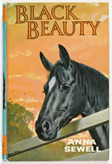 Roger Collection: Black Beauty 1967