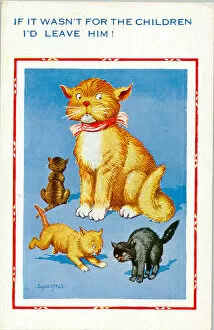 Children Jigsaw Puzzle Collection: Comic postcard, Unhappy mother cat with kittens Date: 20th century
