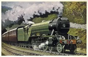 Trains Collection: The Flying Scotsman