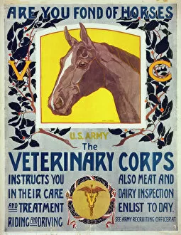 Fine art Collection: Are you fond of horses - US Army - The Veterinary Corps inst