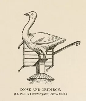 Sign Collection: Goose and Gridiron
