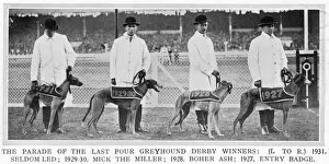 Racing Collection: Four Greyhound Derby winners