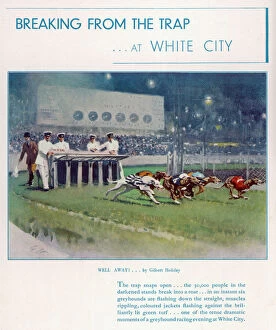 Fine Art Framed Print Collection: Greyhound Racing at White City