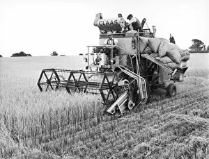 Technology Collection: Harvesting barley with a combine harvester, Suffolk