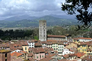 Lucca Collection: Italy. Lucca. Panorama