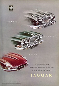 1962 Collection: Jaguar car advertisement