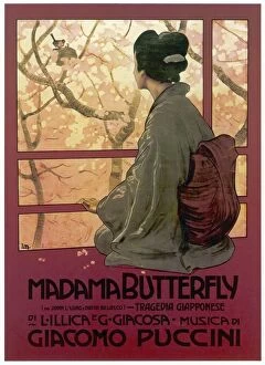Leopoldo Collection: Madame Butterfly