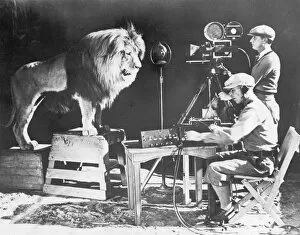 Filming Collection: MGM LION