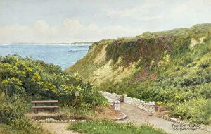 Coastal landscapes Photo Mug Collection: Portman Ravine, Southbourne, Dorset