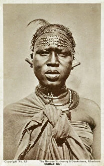 Sudan Collection: Shilluk Girl bearing extensive traditional scarfication