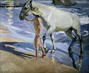Post Collection: SOROLLA, Joaqu�(1863-1923). White Horse. 1909