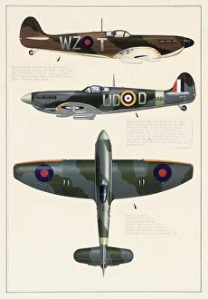 Supermarine Spitfire Metal Print Collection: Supermarine Spitfire and Hawker Tempest aeroplanes