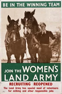 Land Collection: Womens Land Army poster
