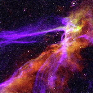 Related Images Collection: Cygnus Loop Supernova Blast Wave