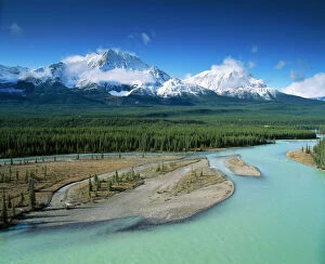 Forest artwork Jigsaw Puzzle Collection: Canada Athabasca River & Rocky Mountains, Jasper National Park, Alberta, Canada