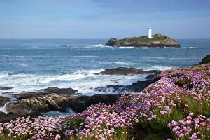Countryside artwork Poster Print Collection: Godrevy Island and Lighthouse - from Gwithian - thrift - Cornwall - UK