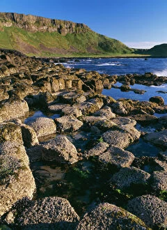 Landscape paintings Metal Print Collection: Ireland Giant's Causeway. Heexagonal basalt columns. World heritage site, Co. antrim, ulster (NT)