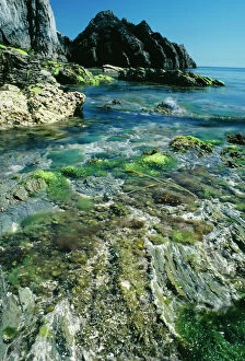 Nature-inspired artwork Fine Art Print Collection: Lundy UK - low spring tide on Bristol Channel
