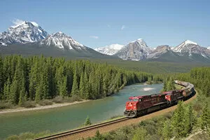 Landscape paintings Collection: Morant's Curve - Canadian Pacific Railway with Bow range of mountains in the background - Banff