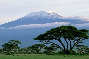 Kenya Collection: Mt Kilimanjaro in Tanzania - taken from Amboseli National Park - Kenya JFL14183