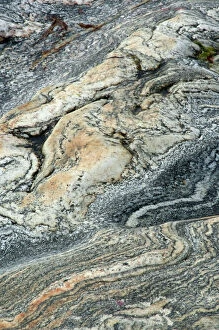 Gneiss Collection: Patterns in rocks - North Uist - Outer Hebrides