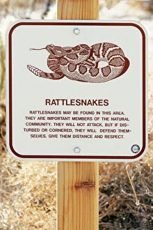 Signs Collection: Rattlesnake Warning Sign