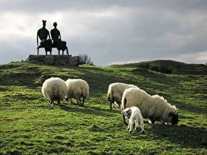 Sculptures Collection: Sheep - grazing before the Henry Moore sculpture King & Queen Glenkiln Estate Sculpture Park