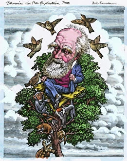 Caricatures Cushion Collection: Charles Darwin in his evolutionary tree