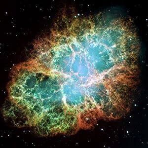 Related Images Fine Art Print Collection: Crab nebula (M1)