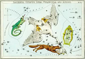 Symbol Collection: Cygnus and Lyra constellations