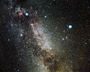 Star Collection: Cygnus and Lyra constellations