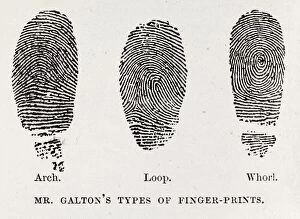 1872 Collection: Fingerprint types, 17th century