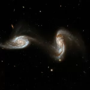 Related Images Fine Art Print Collection: Interacting galaxies NGC 5257 and 5258