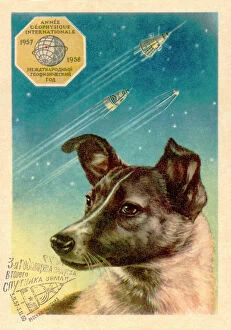 Dogs Metal Print Collection: Laika the space dog postcard