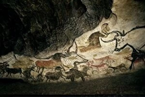Fine Art Collection: Lascaux II cave painting replica C013 / 7378
