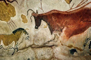 Modern art pieces Poster Print Collection: Lascaux II cave painting replica C013 / 7382