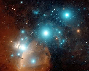 Star Field Collection: Orions belt