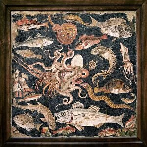 Related Images Framed Print Collection: Roman seafood mosaic