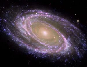 Universe Collection: Spiral galaxy M81, composite image