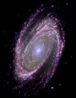 Hubble Space Telescope Collection: Spiral galaxy M81, composite image